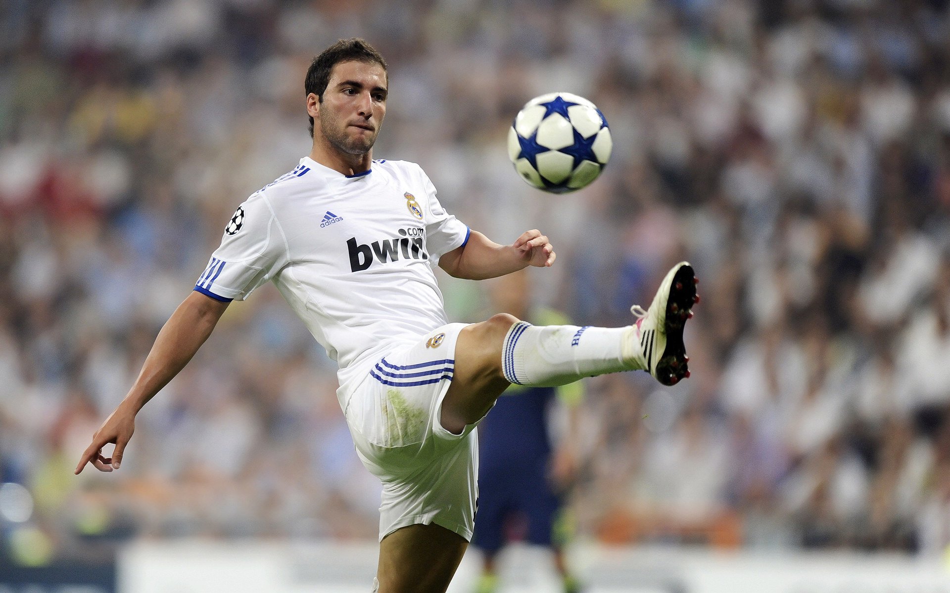 leyu.com-公牛队刷新历史最佳开局，公牛队史最强阵容